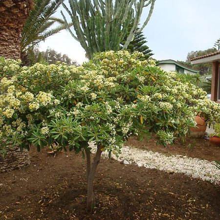 Villa Cetta B&B San Leone Esterno foto